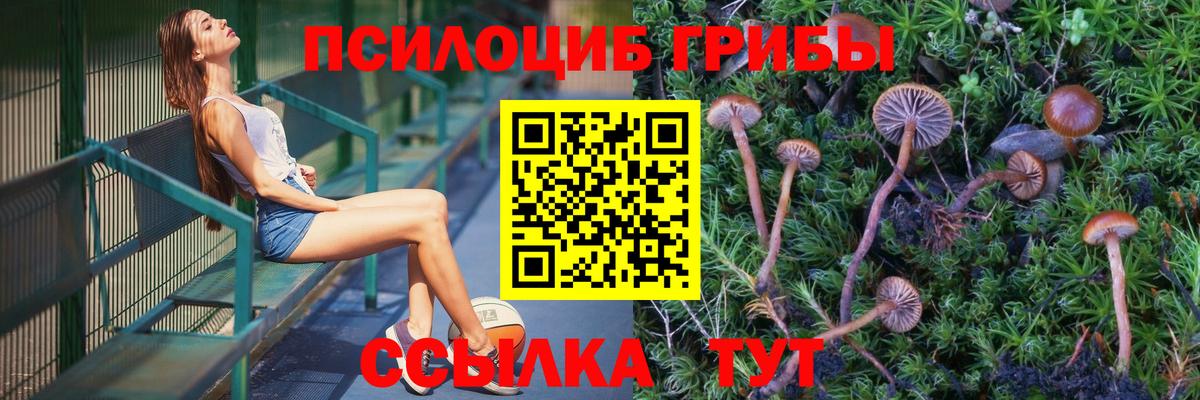 Галлюциногенные грибы ЛСД  купить   Астрахань  Вход с VPN 